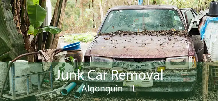 Junk Car Removal Algonquin - IL