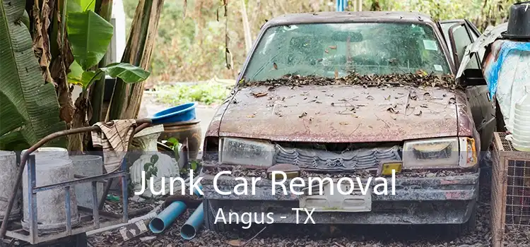 Junk Car Removal Angus - TX