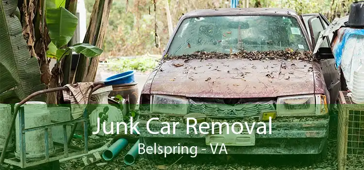 Junk Car Removal Belspring - VA