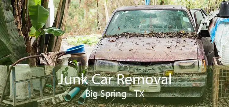 Junk Car Removal Big Spring - TX