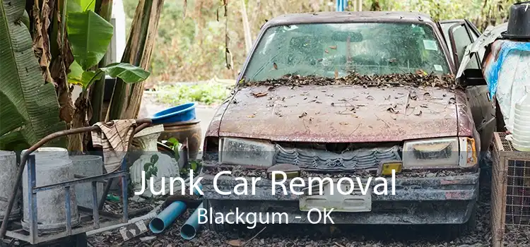 Junk Car Removal Blackgum - OK