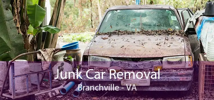 Junk Car Removal Branchville - VA