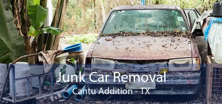 Junk Car Removal Cantu Addition - TX