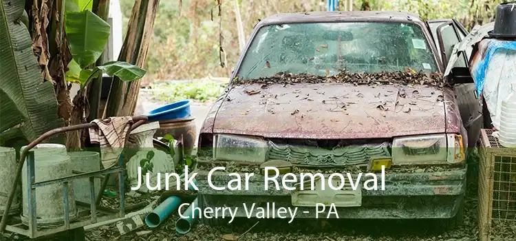 Junk Car Removal Cherry Valley - PA