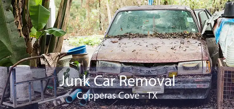 Junk Car Removal Copperas Cove - TX
