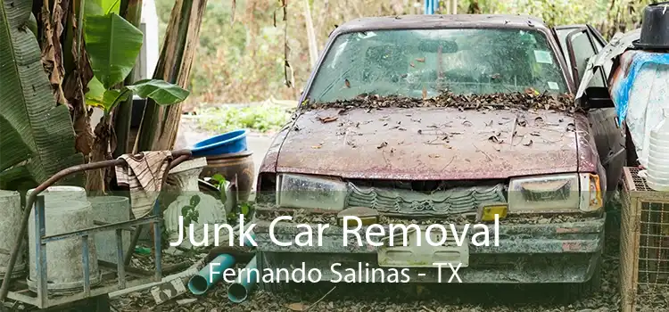 Junk Car Removal Fernando Salinas - TX