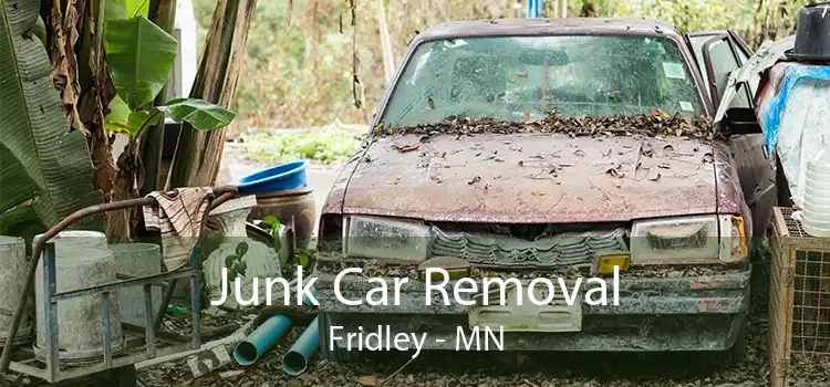 Junk Car Removal Fridley - MN