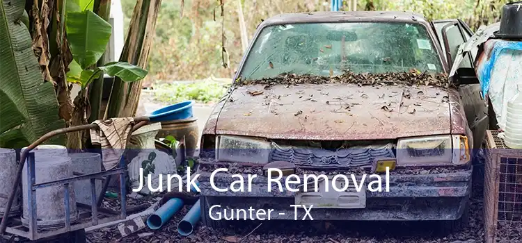 Junk Car Removal Gunter - TX