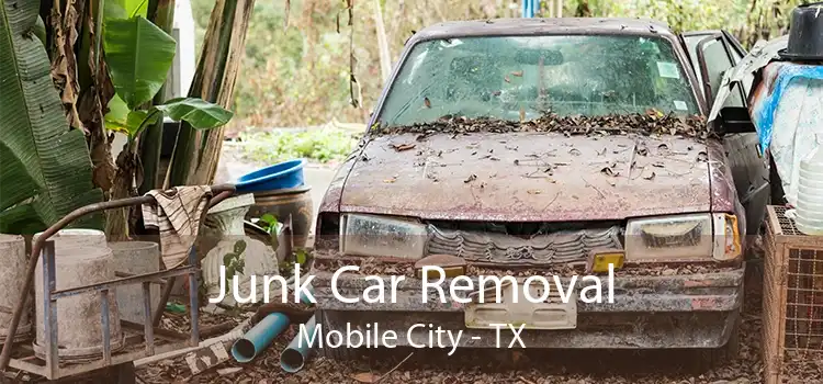 Junk Car Removal Mobile City - TX