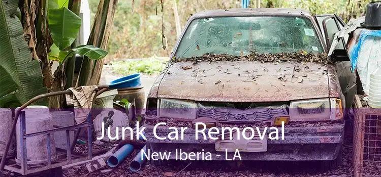 Junk Car Removal New Iberia - LA