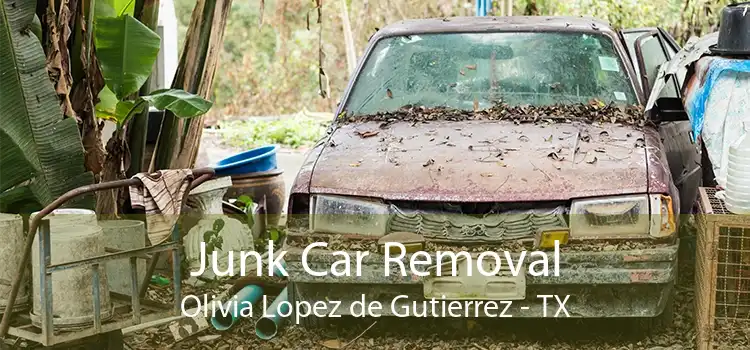 Junk Car Removal Olivia Lopez de Gutierrez - TX