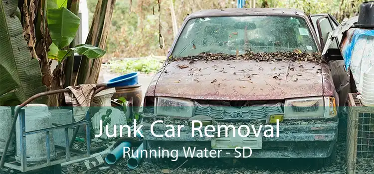 Junk Car Removal Running Water - SD