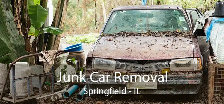 Junk Car Removal Springfield - IL