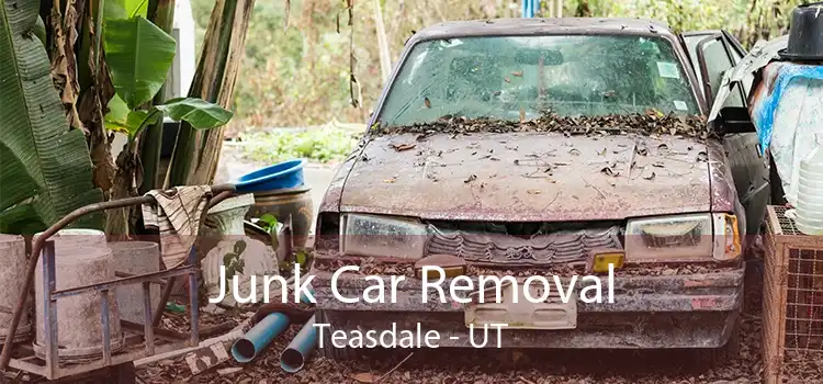 Junk Car Removal Teasdale - UT