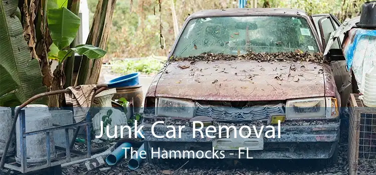 Junk Car Removal The Hammocks - FL