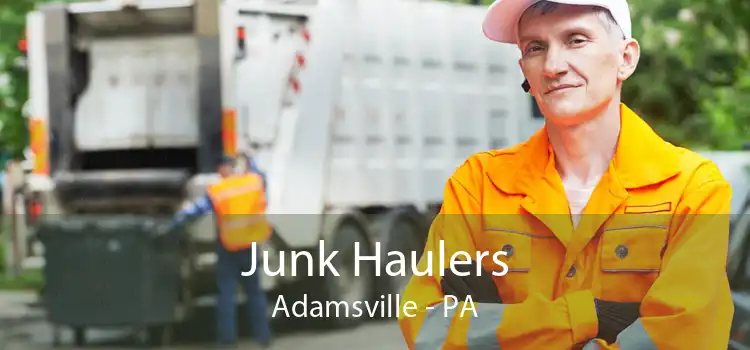 Junk Haulers Adamsville - PA