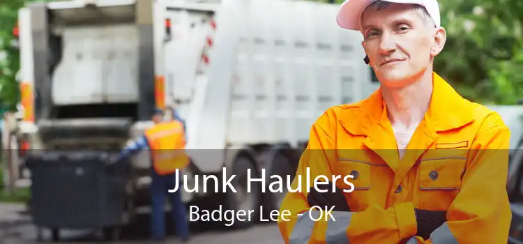 Junk Haulers Badger Lee - OK