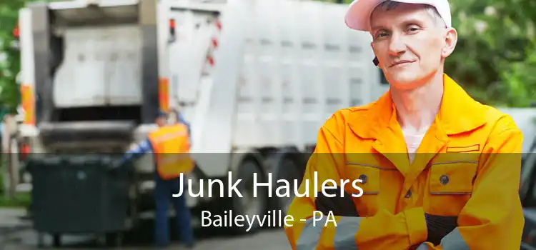 Junk Haulers Baileyville - PA