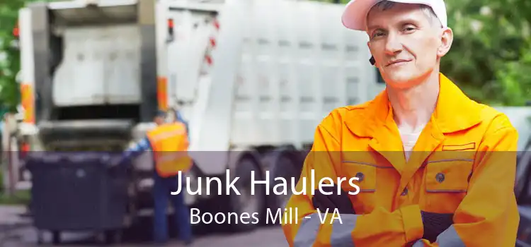 Junk Haulers Boones Mill - VA