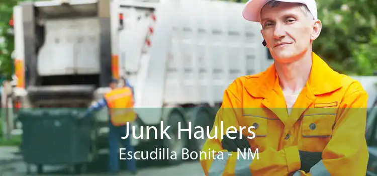 Junk Haulers Escudilla Bonita - NM