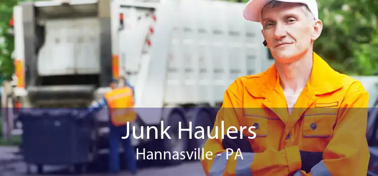Junk Haulers Hannasville - PA