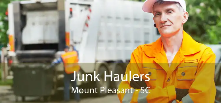 Junk Haulers Mount Pleasant - SC