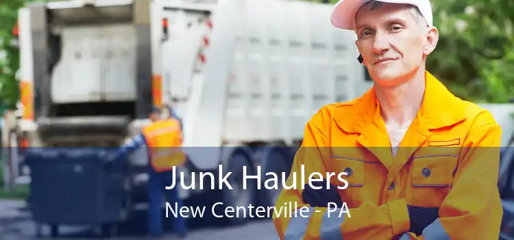 Junk Haulers New Centerville - PA