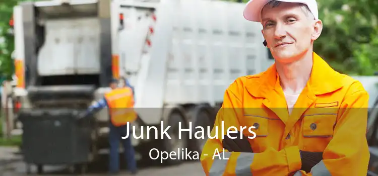 Junk Haulers Opelika - AL