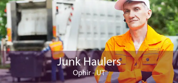 Junk Haulers Ophir - UT