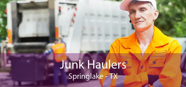Junk Haulers Springlake - TX