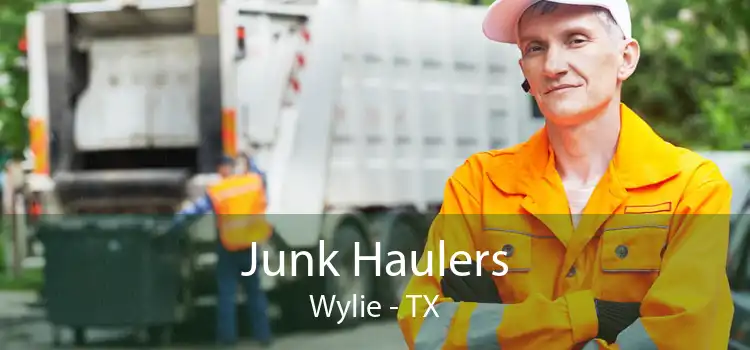 Junk Haulers Wylie - TX