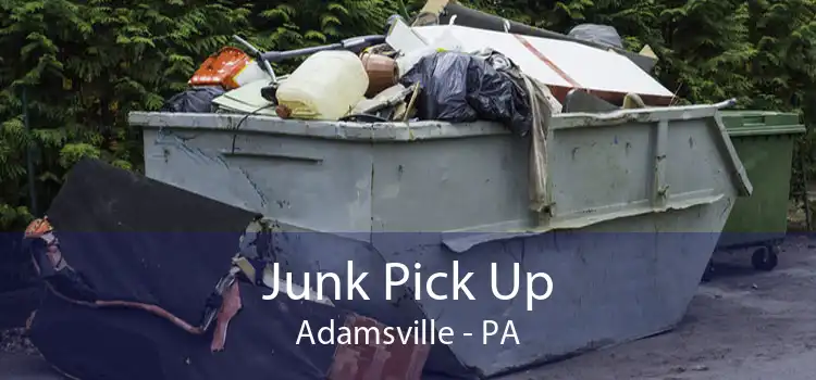 Junk Pick Up Adamsville - PA