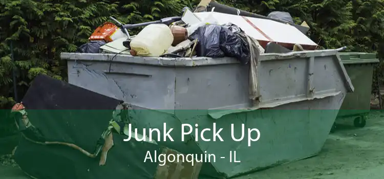 Junk Pick Up Algonquin - IL