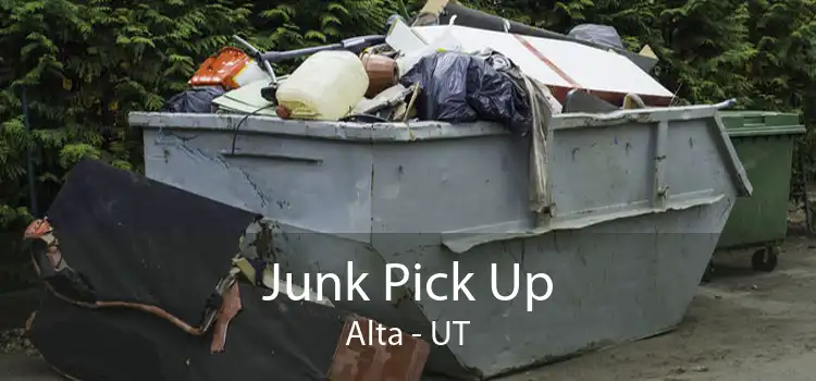 Junk Pick Up Alta - UT