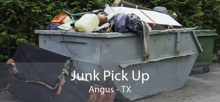 Junk Pick Up Angus - TX