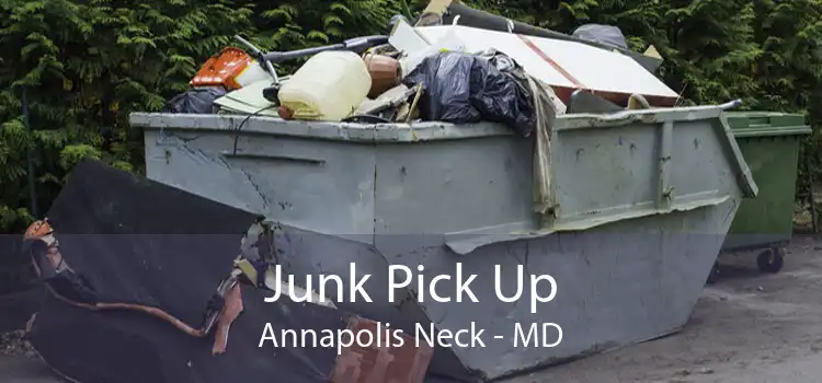 Junk Pick Up Annapolis Neck - MD