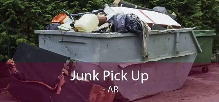Junk Pick Up  - AR