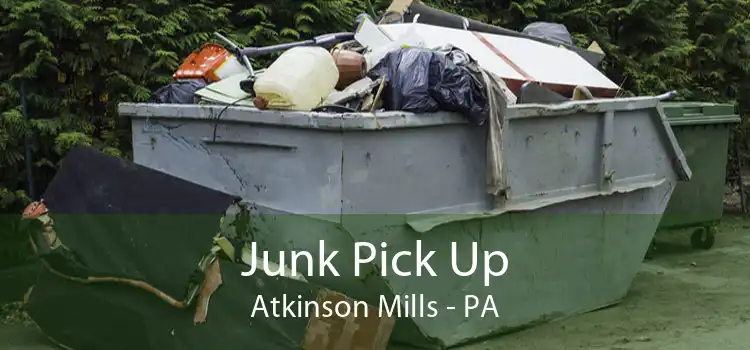 Junk Pick Up Atkinson Mills - PA