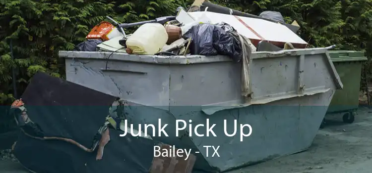 Junk Pick Up Bailey - TX