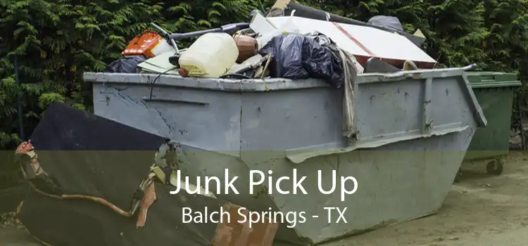 Junk Pick Up Balch Springs - TX