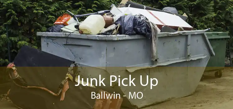 Junk Pick Up Ballwin - MO