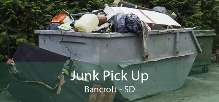 Junk Pick Up Bancroft - SD