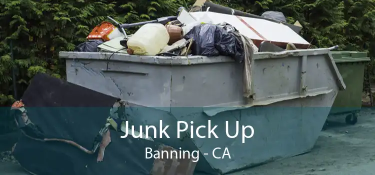 Junk Pick Up Banning - CA