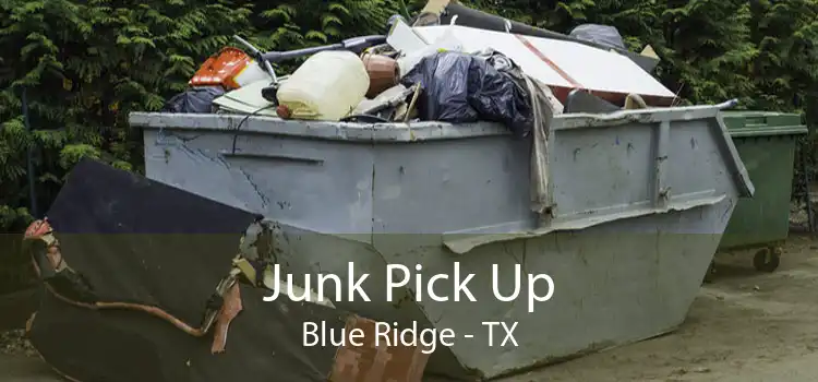 Junk Pick Up Blue Ridge - TX