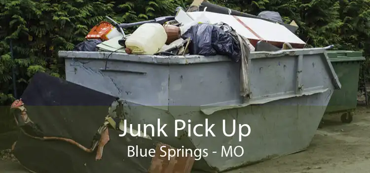 Junk Pick Up Blue Springs - MO