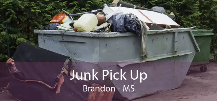 Junk Pick Up Brandon - MS