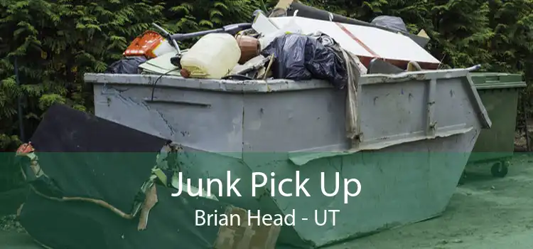 Junk Pick Up Brian Head - UT