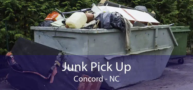 Junk Pick Up Concord - NC