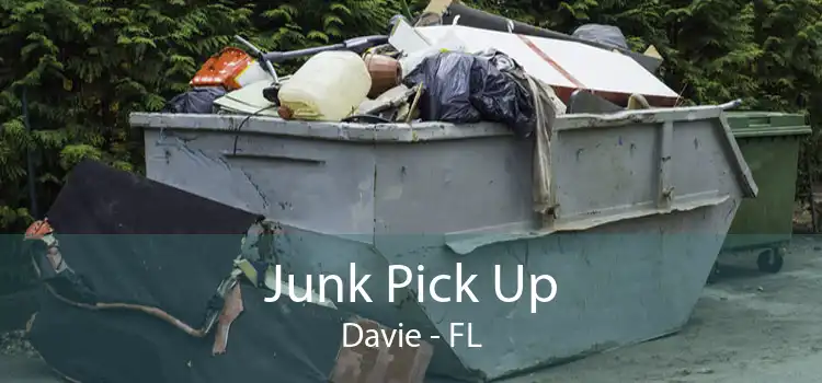 Junk Pick Up Davie - FL