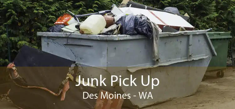 Junk Pick Up Des Moines - WA
